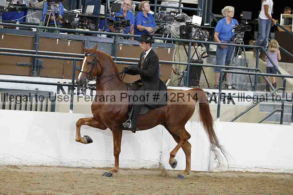 Proof Number 12r14_3704