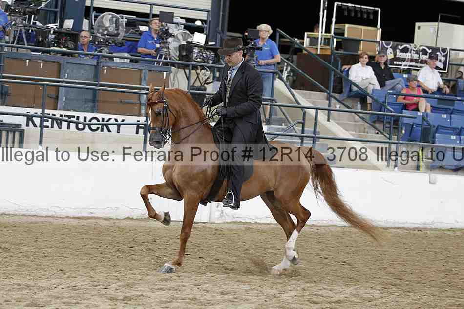 Proof Number 12r14_3708