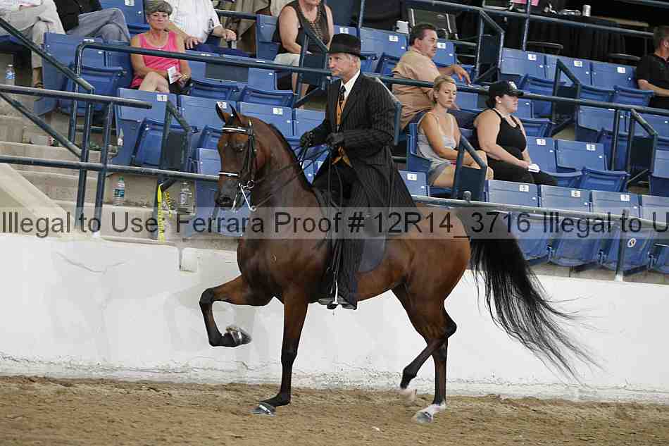 Proof Number 12r14_3716