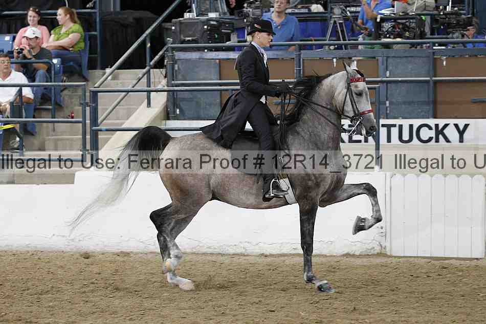 Proof Number 12r14_3721