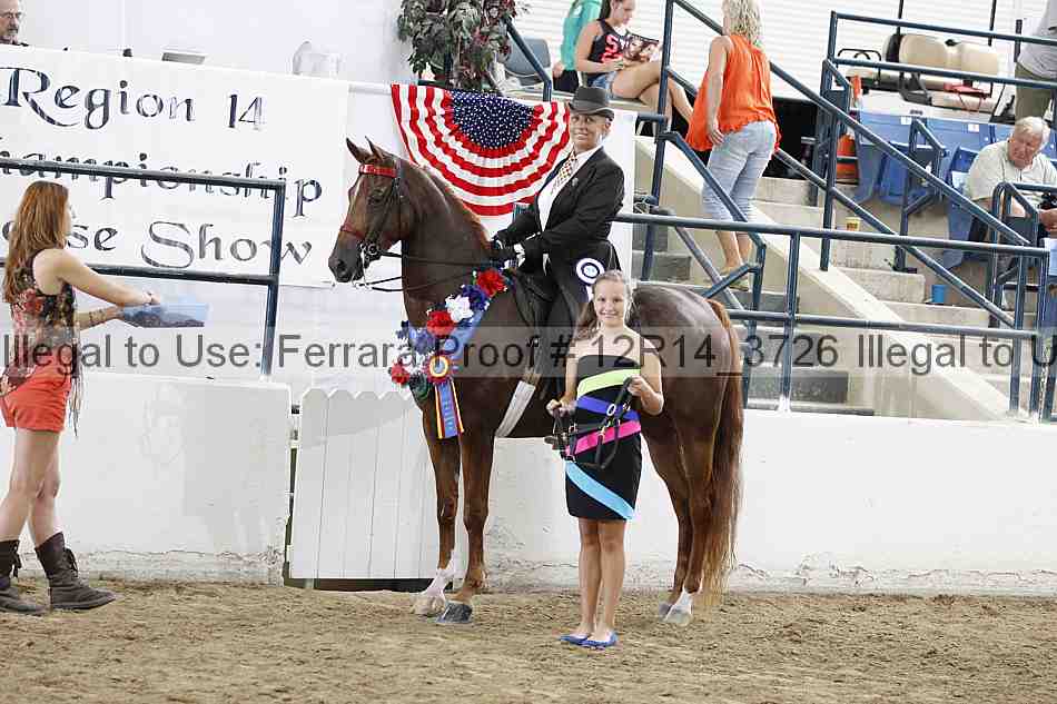 Proof Number 12r14_3726