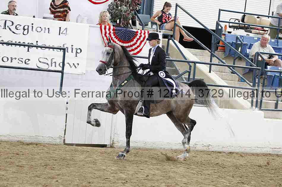 Proof Number 12r14_3729