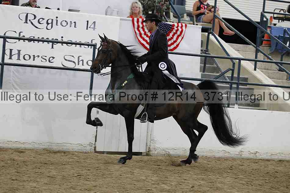 Proof Number 12r14_3731
