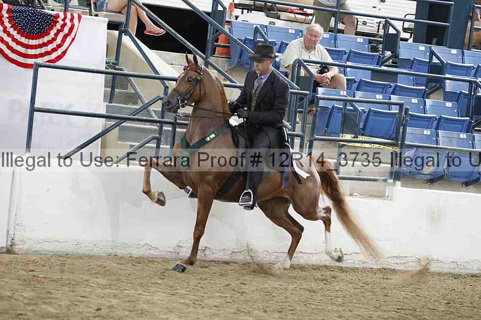 Proof Number 12r14_3735