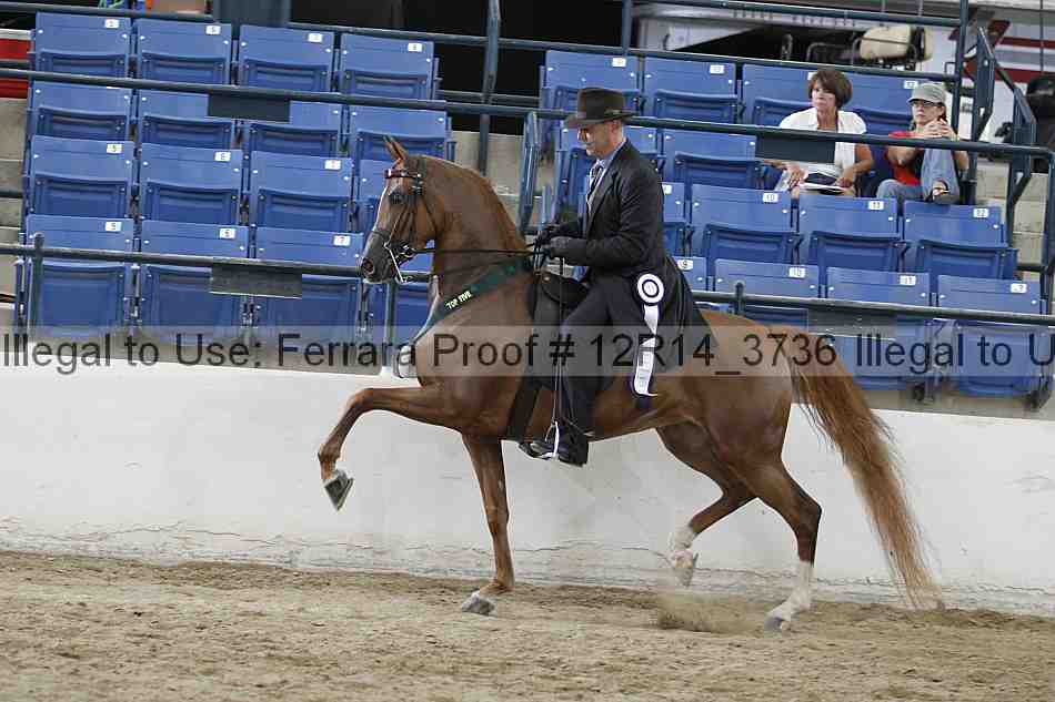 Proof Number 12r14_3736