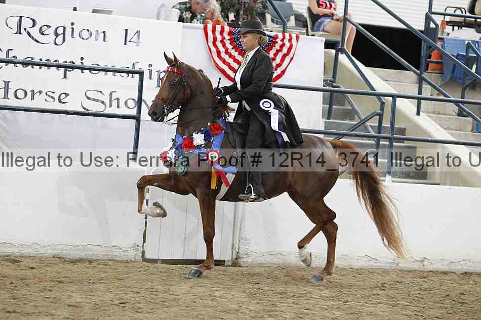 Proof Number 12r14_3741