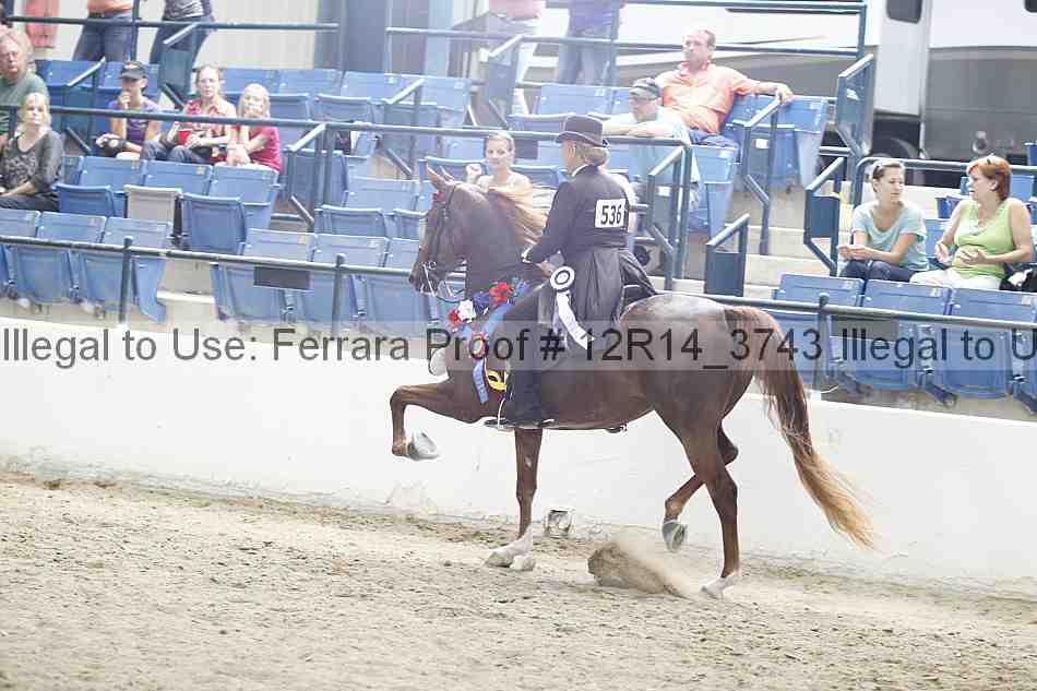 Proof Number 12r14_3743