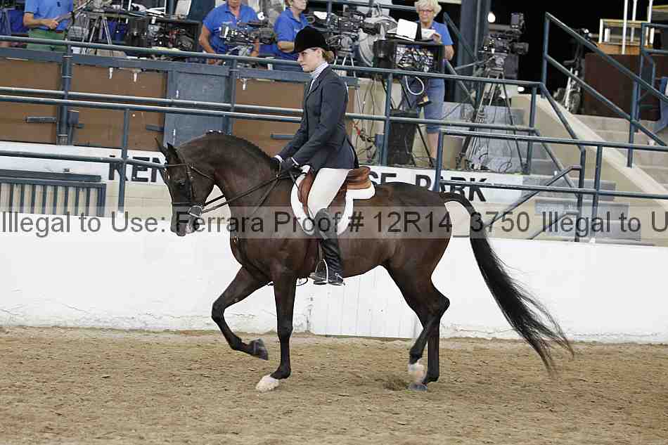 Proof Number 12r14_3750
