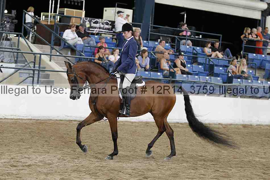 Proof Number 12r14_3759