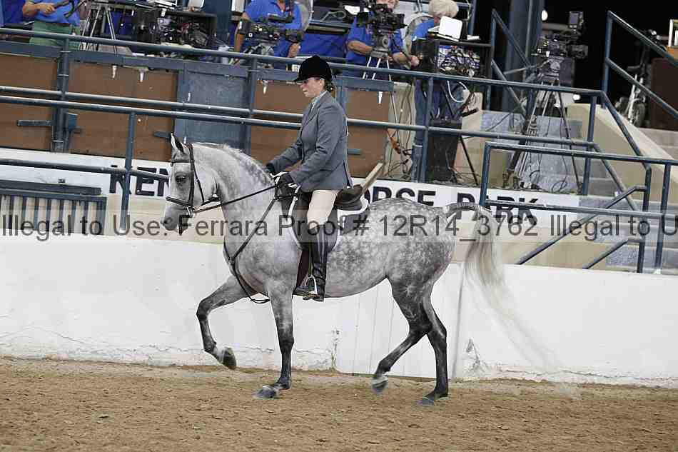 Proof Number 12r14_3762
