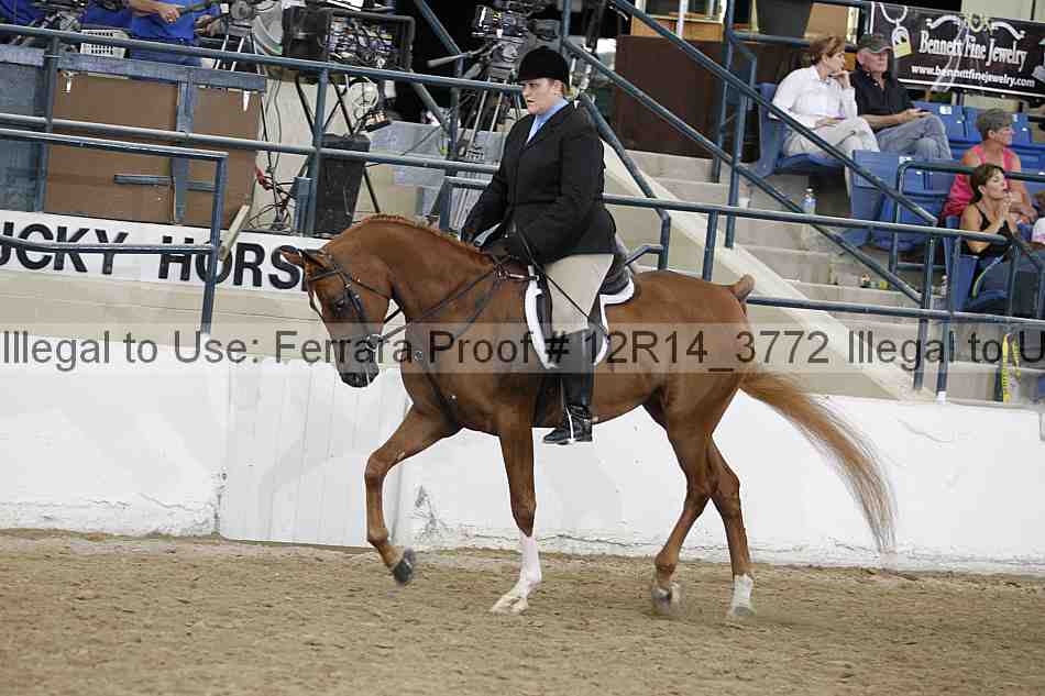 Proof Number 12r14_3772