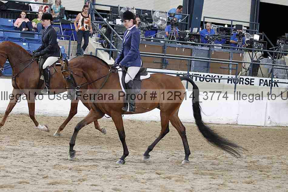 Proof Number 12r14_3774