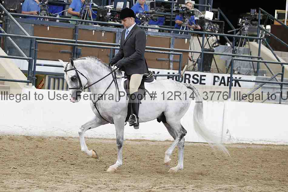 Proof Number 12r14_3776