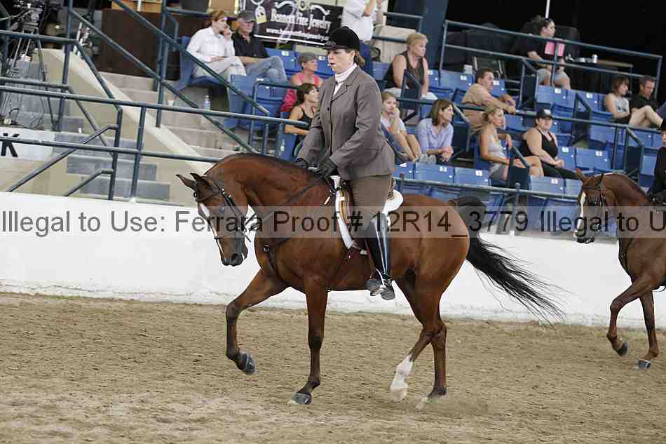 Proof Number 12r14_3779