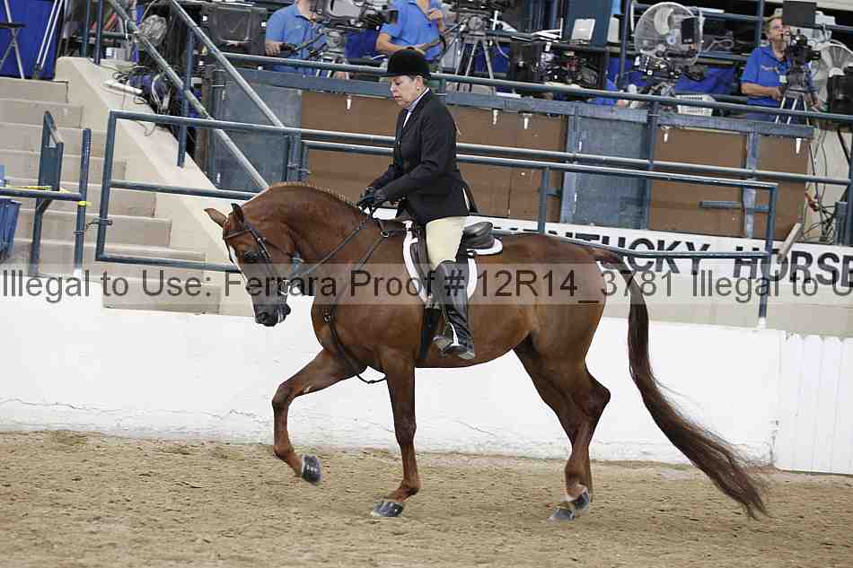 Proof Number 12r14_3781