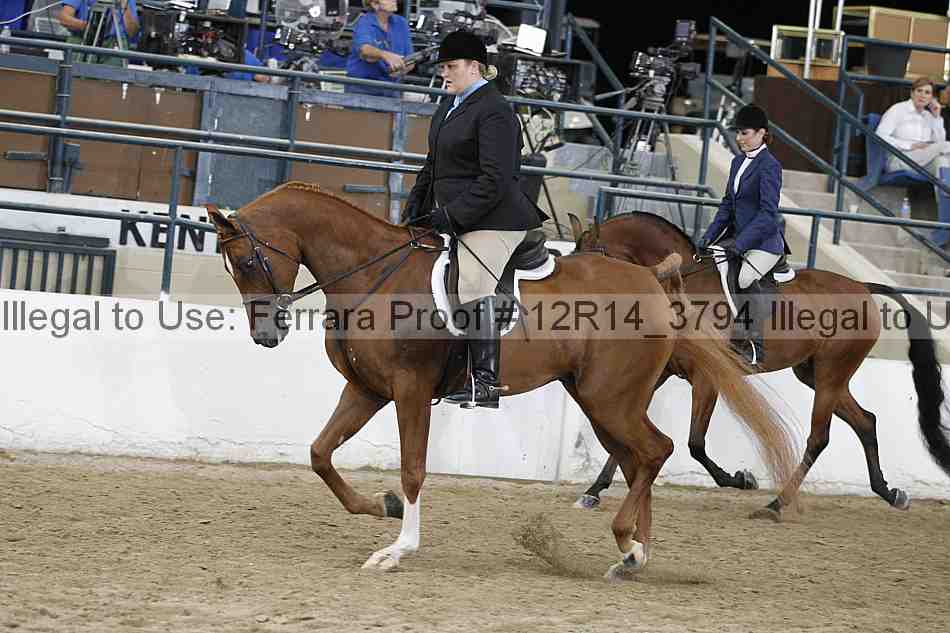 Proof Number 12r14_3794
