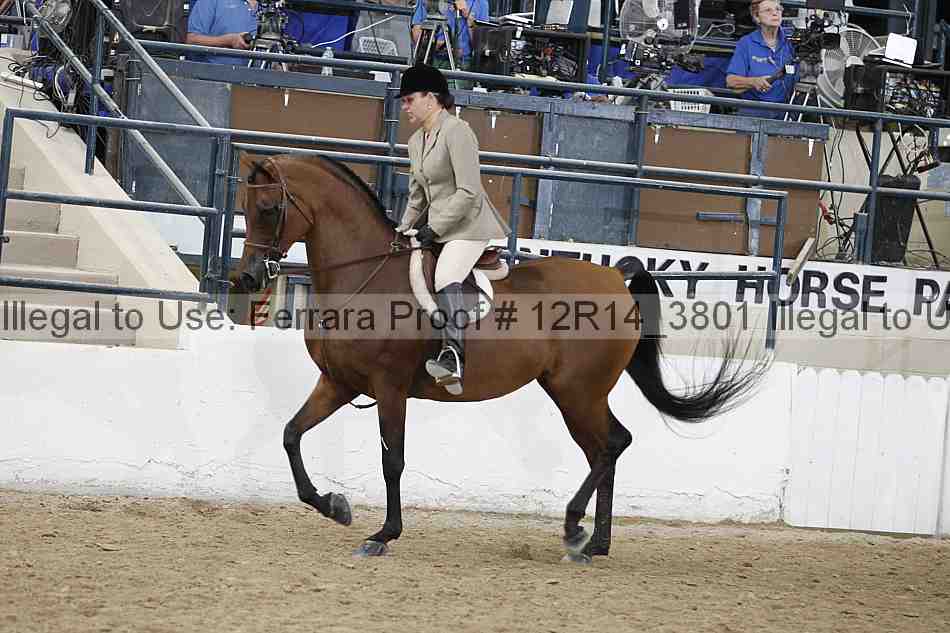 Proof Number 12r14_3801