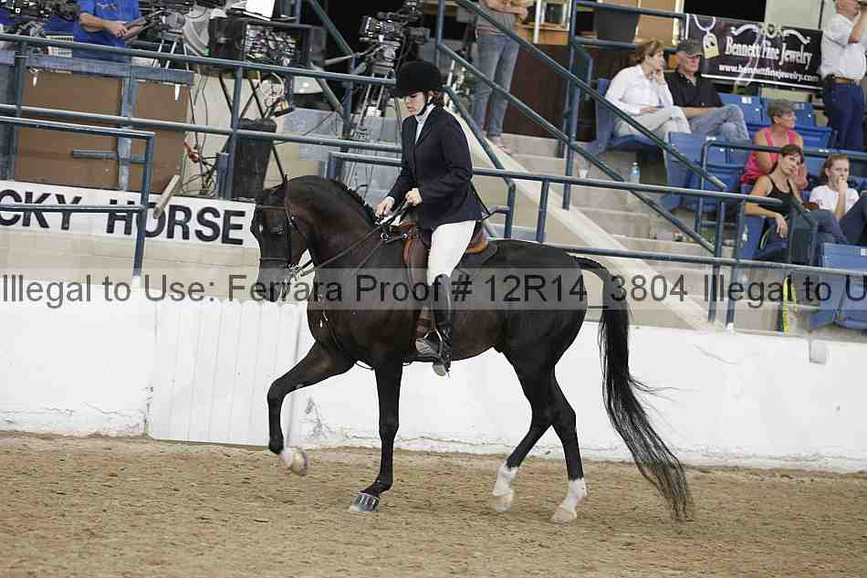 Proof Number 12r14_3804