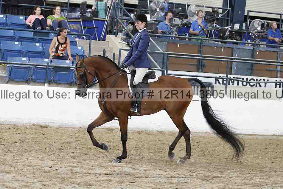 Proof Number 12r14_3805