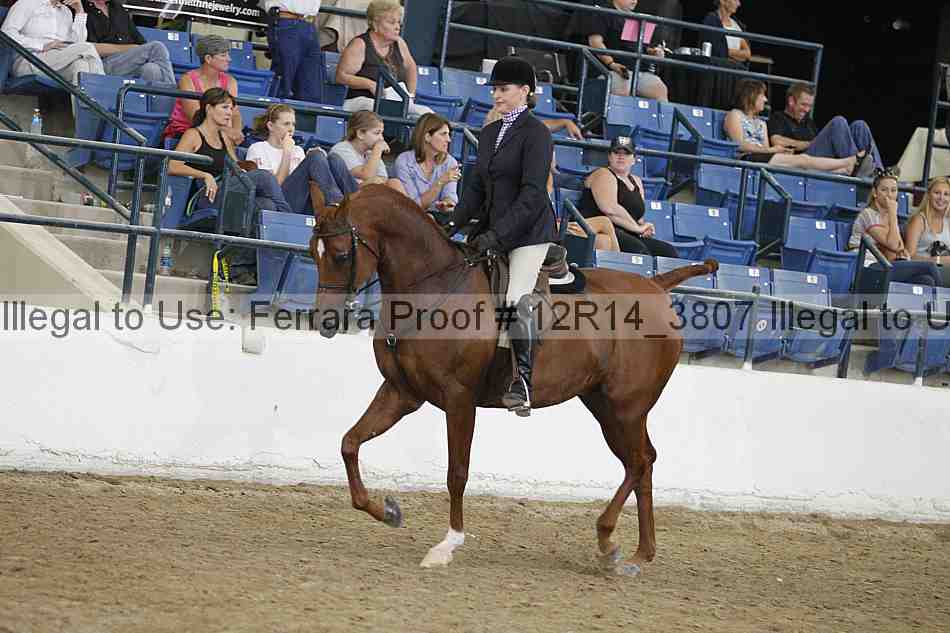 Proof Number 12r14_3807