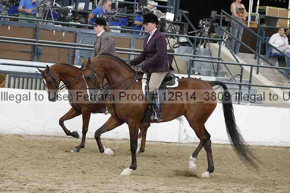 Proof Number 12r14_3809