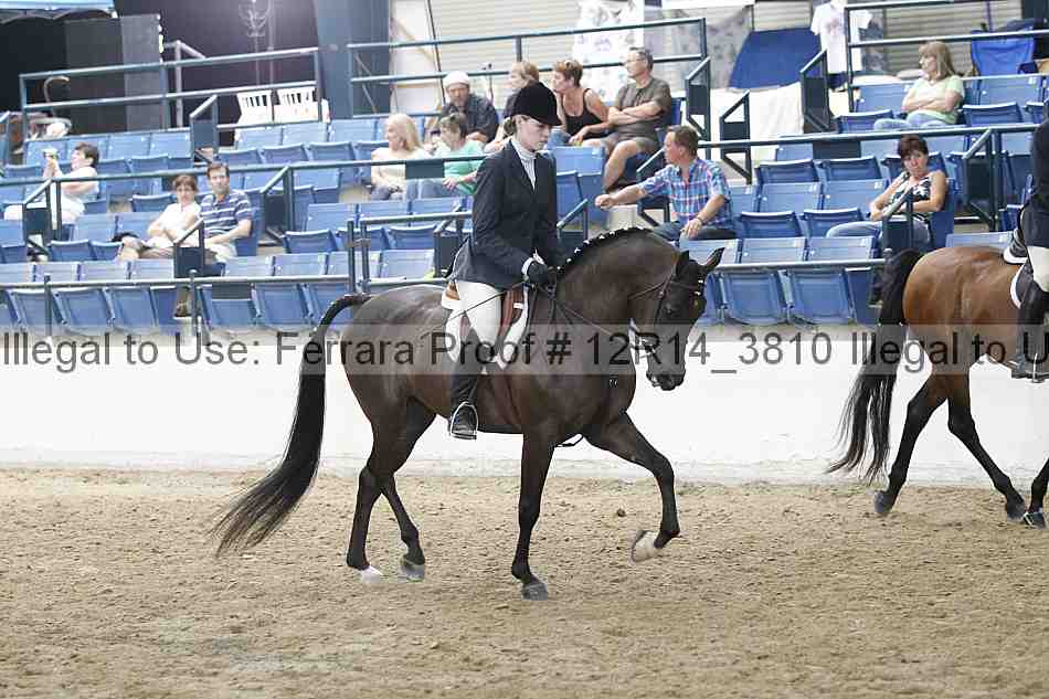 Proof Number 12r14_3810