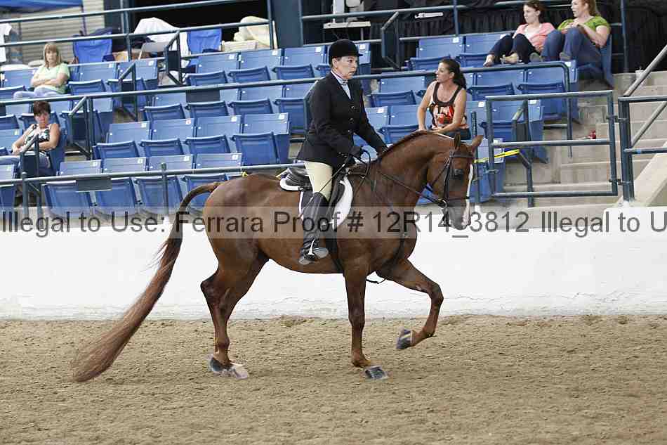 Proof Number 12r14_3812
