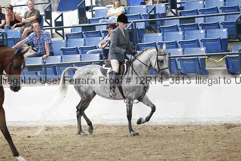 Proof Number 12r14_3813