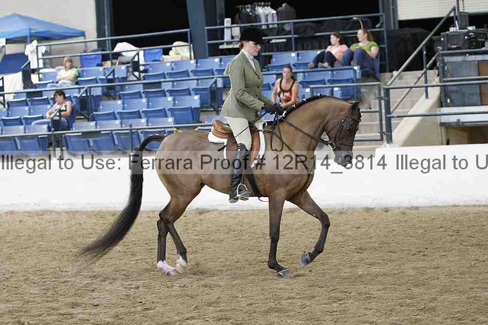 Proof Number 12r14_3814