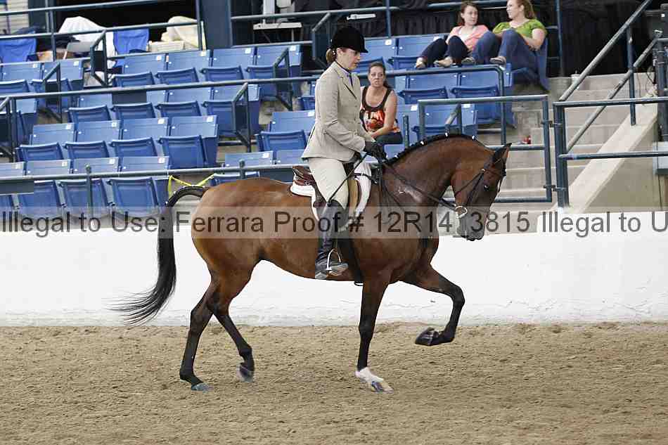 Proof Number 12r14_3815