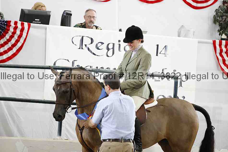 Proof Number 12r14_3822