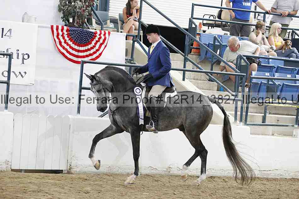Proof Number 12r14_3827