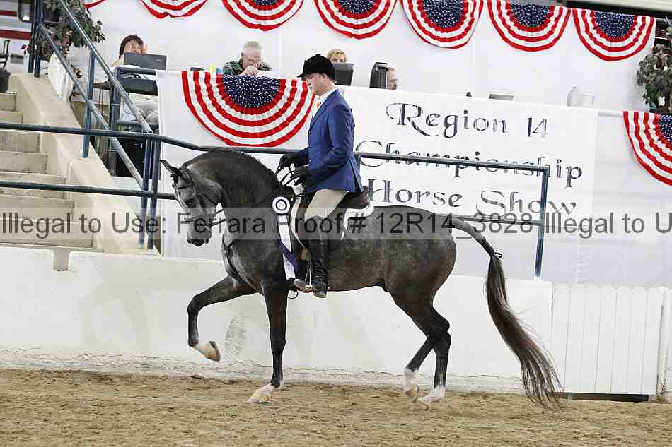 Proof Number 12r14_3828