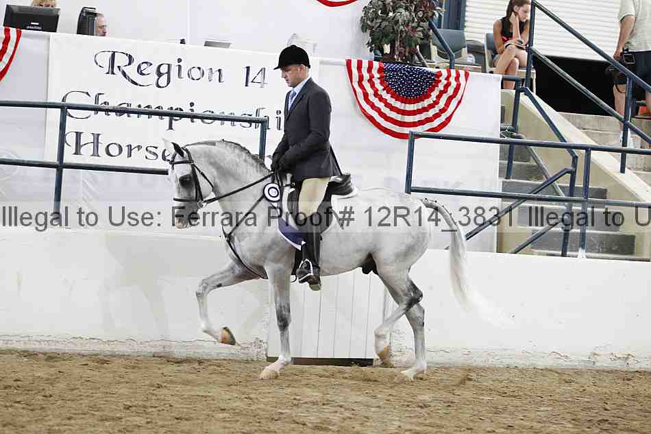 Proof Number 12r14_3831