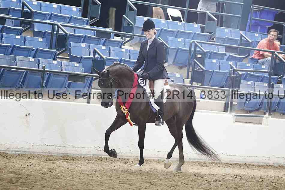 Proof Number 12r14_3833