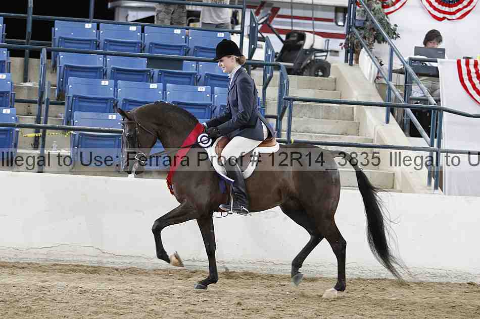Proof Number 12r14_3835