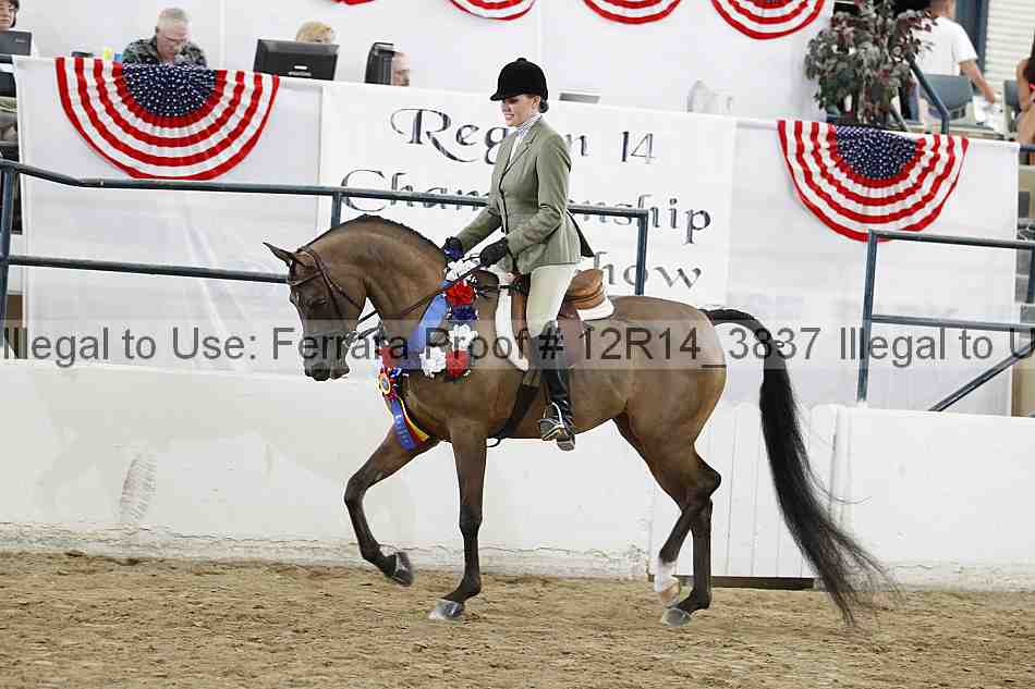 Proof Number 12r14_3837