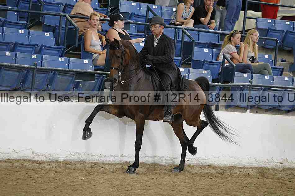 Proof Number 12r14_3844