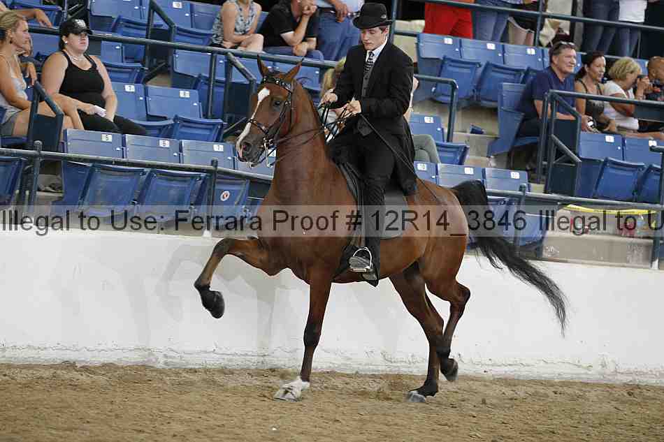 Proof Number 12r14_3846