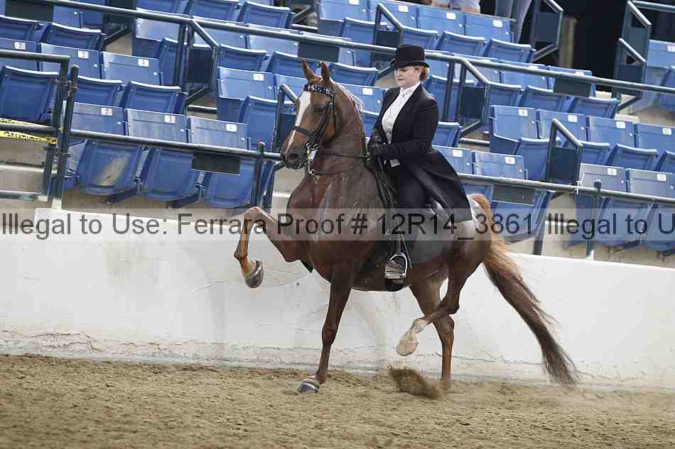 Proof Number 12r14_3861