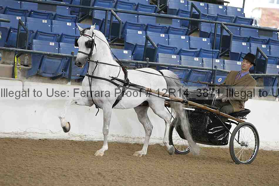 Proof Number 12r14_3871