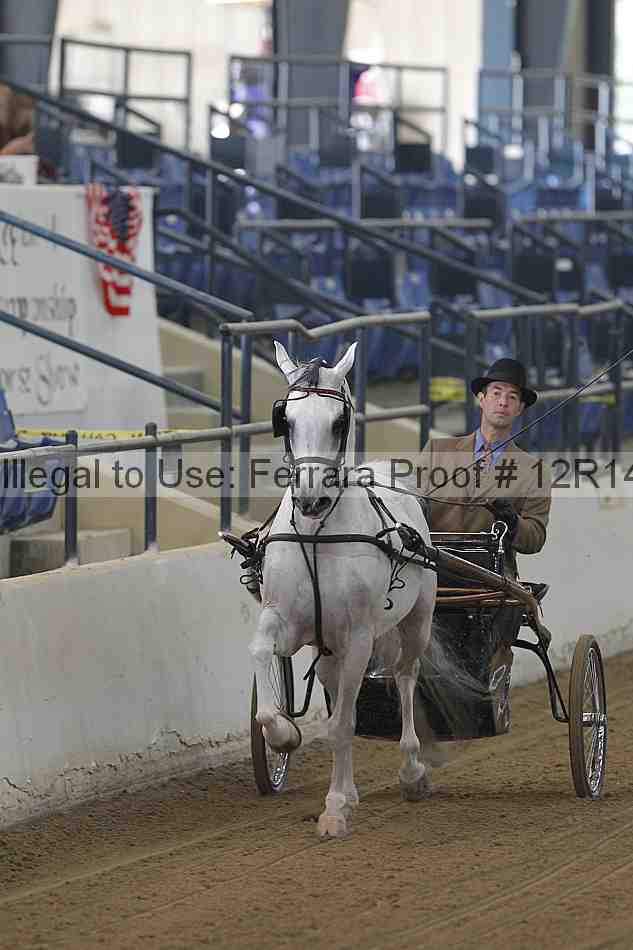 Proof Number 12r14_3887