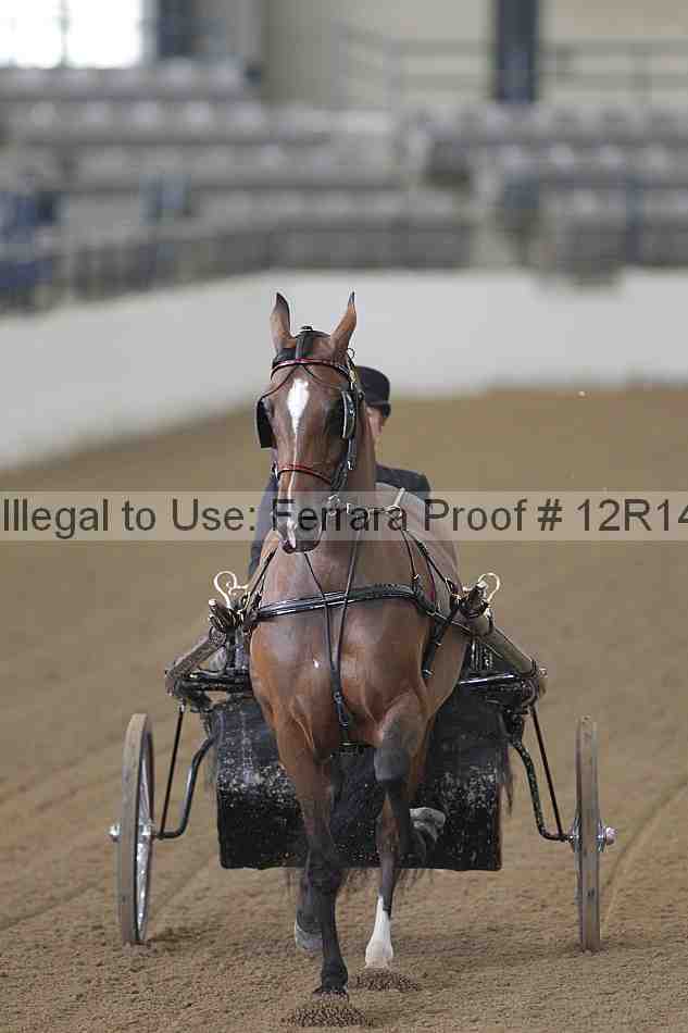 Proof Number 12r14_3889