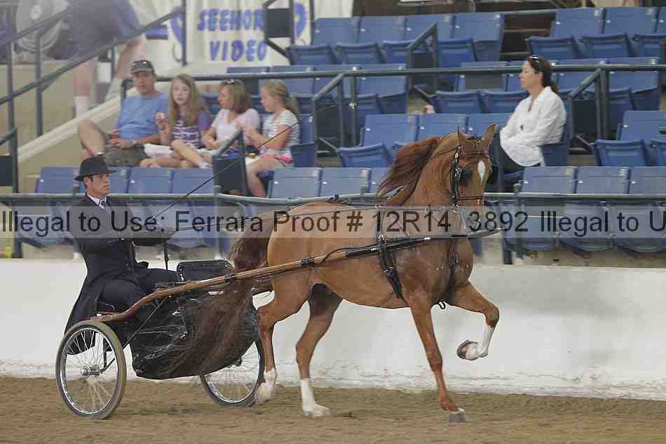 Proof Number 12r14_3892