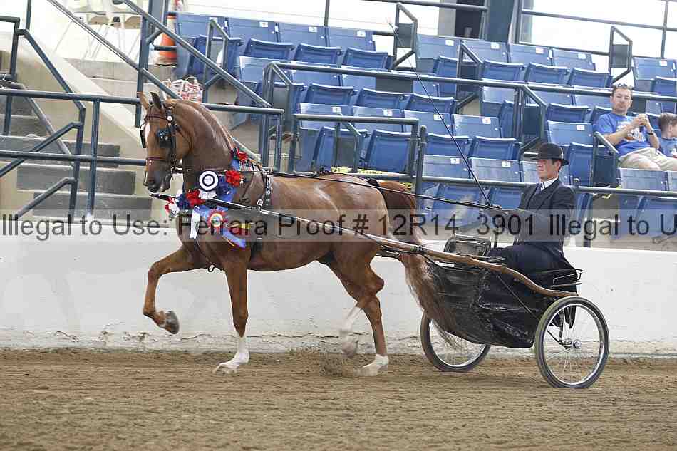 Proof Number 12r14_3901