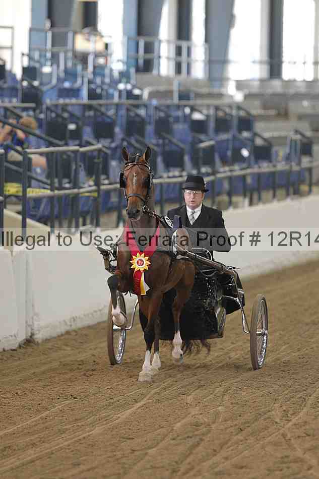 Proof Number 12r14_3903