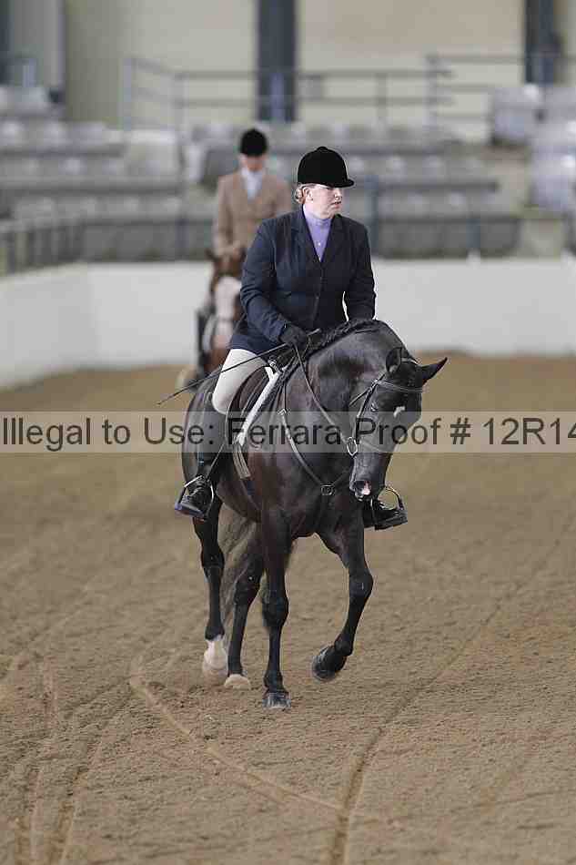 Proof Number 12r14_3923