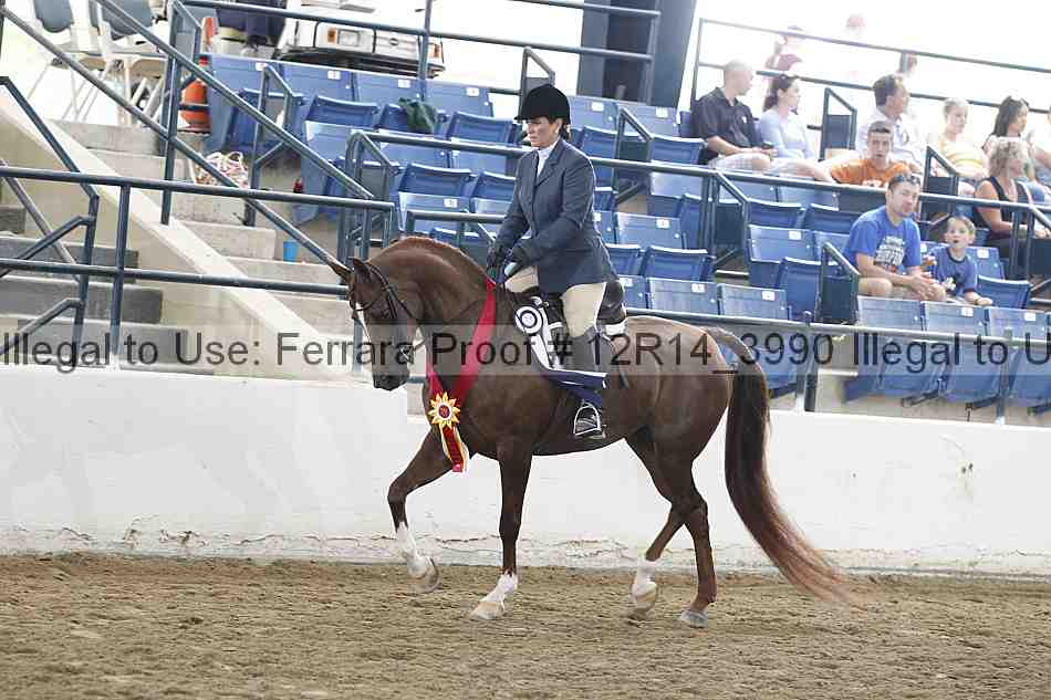 Proof Number 12r14_3990