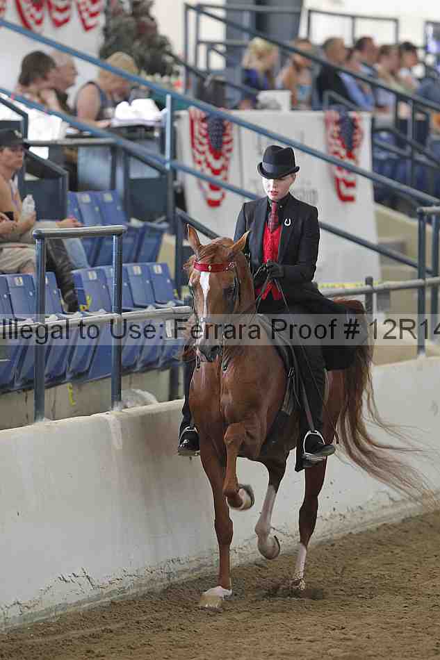 Proof Number 12r14_4029
