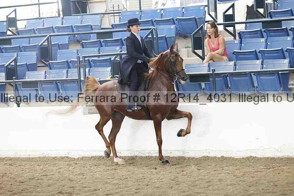 Proof Number 12r14_4031